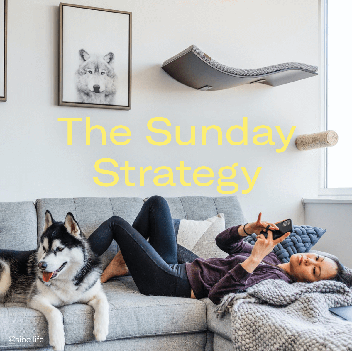 The Sunday Strategy
