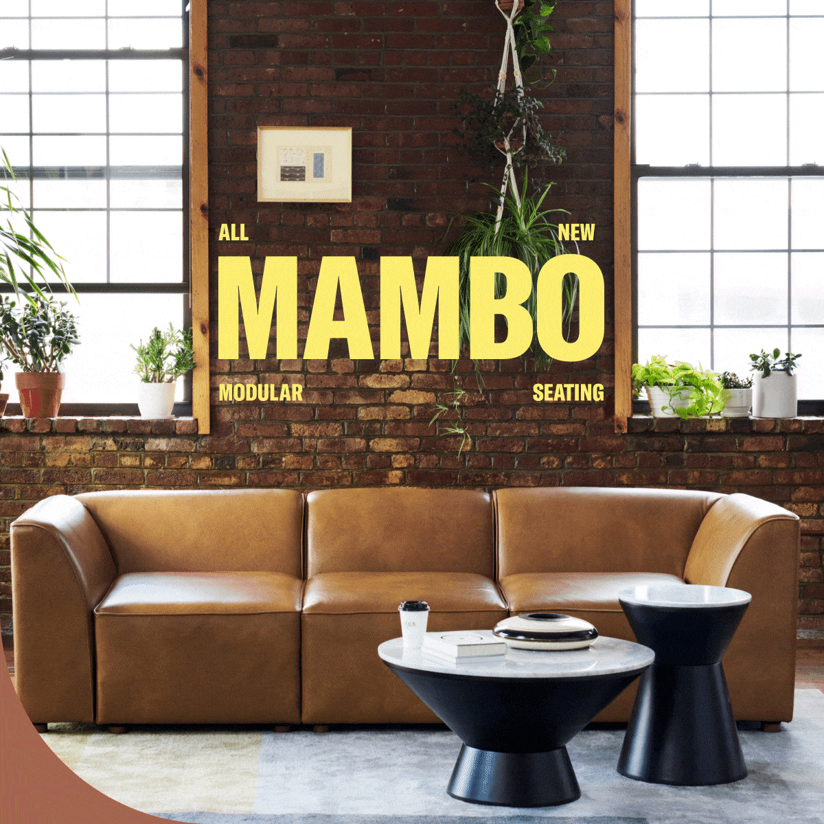 All New Mambo Seating