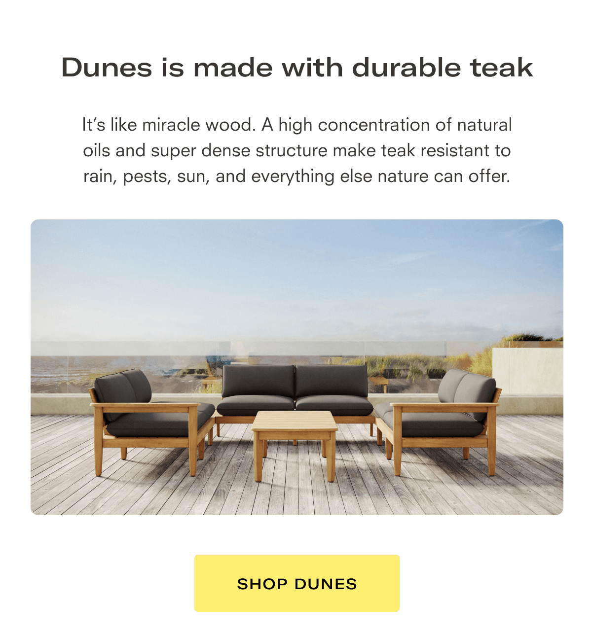 Shop Dunes