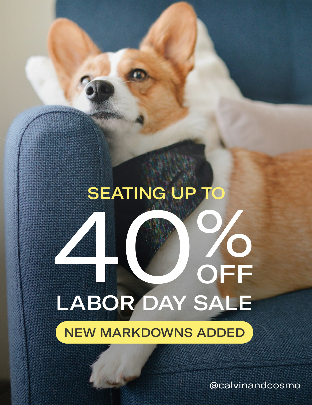 SEATING UP TO 40% OFF| LABOR DAY SALE | NEW MARKDOWNS ADDED | @calvinandcosmo