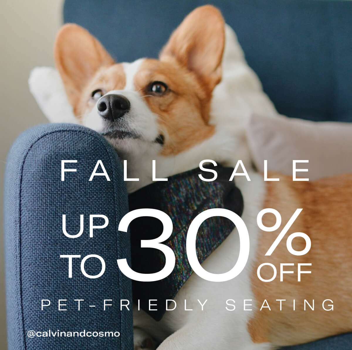 FALL SALE UP TO 30% OFF | PET-FRIENDLY SEATING | @calvinandcosmo