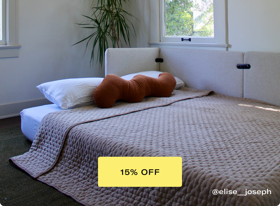 Sleeper Sofa 15% OFF